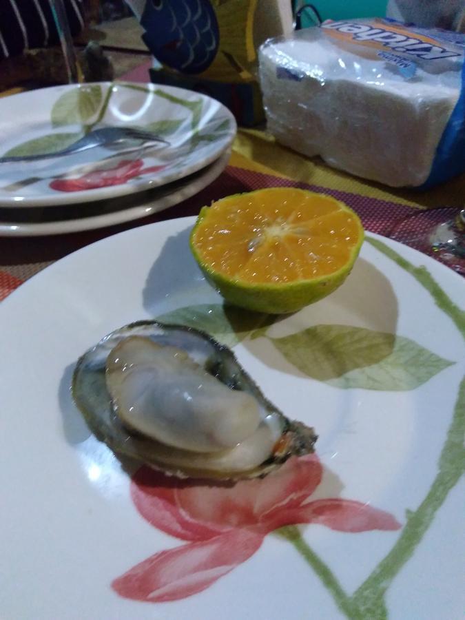 Casa Dos Acores B&B Florianópolis Екстериор снимка